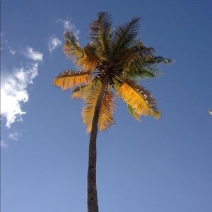 Meet your Posher, Yah-mari